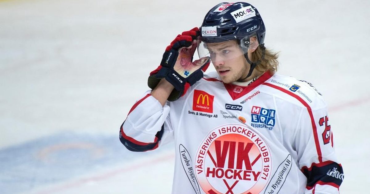 Zweedse kracht Eric Backman versterkt Hijs Hokij 🏒 IJshockey Nederland